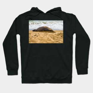 Monk seal Hoodie